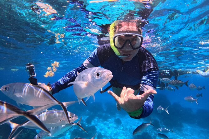 Cozumel Snorkeling Reef Experience with Ceviche and Beers - Key points at a glance
