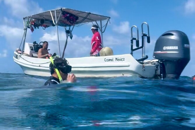 Cozumel Snorkeling Reef Experience with Ceviche and Beers - Playa El Cielo and its famous starfish