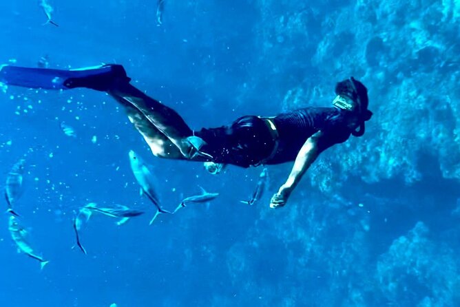 Cozumel Snorkeling Reef Experience with Ceviche and Beers - What the $129 price means for your group