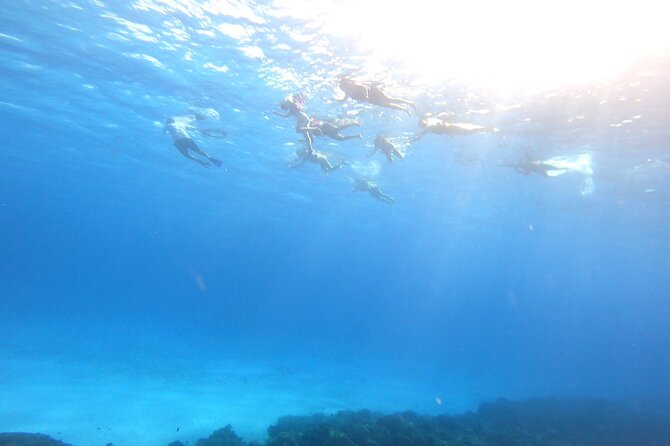 Cozumel Snorkeling Reef Experience with Ceviche and Beers - Who will enjoy this trip most