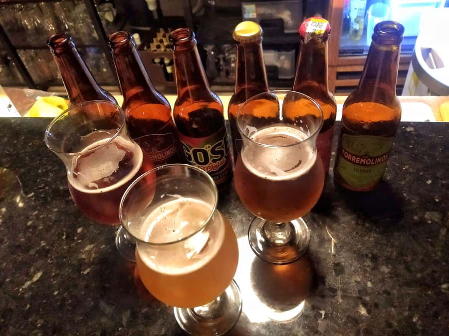 Craft Beer Pub Crawl in Cali - Ana’s Calm Style Helps With the Language Gap