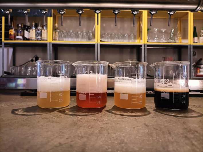 Craft Beer Tasting and tapas in Valencia - What you learn from the beer specialist