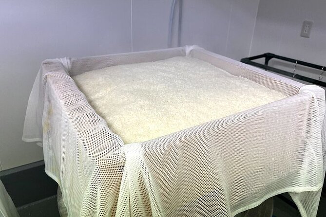 Cultural Sake Brewery Private Tour & Unlimited Tasting Near Tokyo - A talk with the Toji and owner Fuku-san