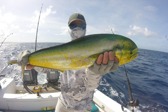 Deep Sea Fishing (Street Food and Beer Included) - Wildlife beyond the fishing lines