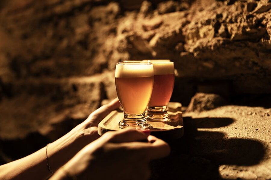 Delft: Craft Beer Tasting in Medieval Brewery - Who should book this Delft tasting?