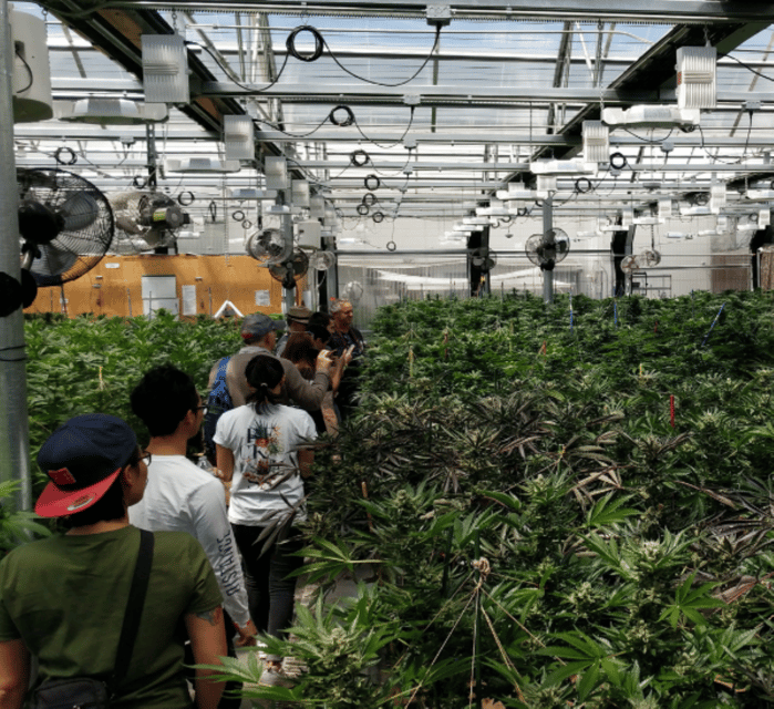 Denver: Buds & Brews Cannabis Grow Tour and Brewery Visit - Timing, group size, and possible cancellation