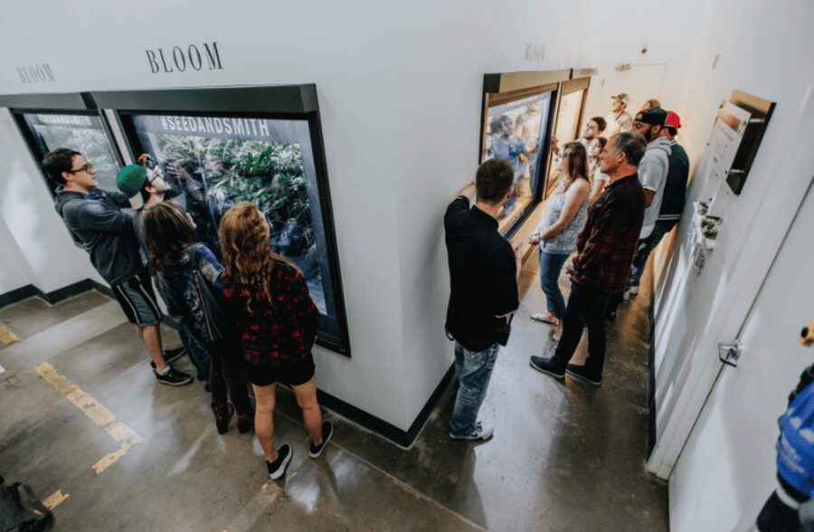 Denver: Buds & Brews Cannabis Grow Tour and Brewery Visit - Who will enjoy this tour most?