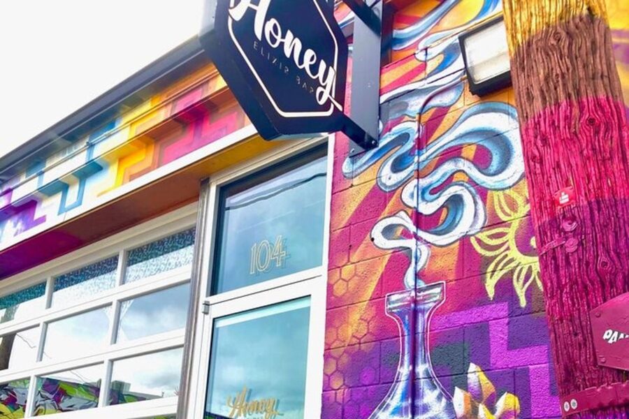 Denver Street Art & Murals Tour + Brewery Visit/Beer Tasting - Art Alley and the stories behind the paint