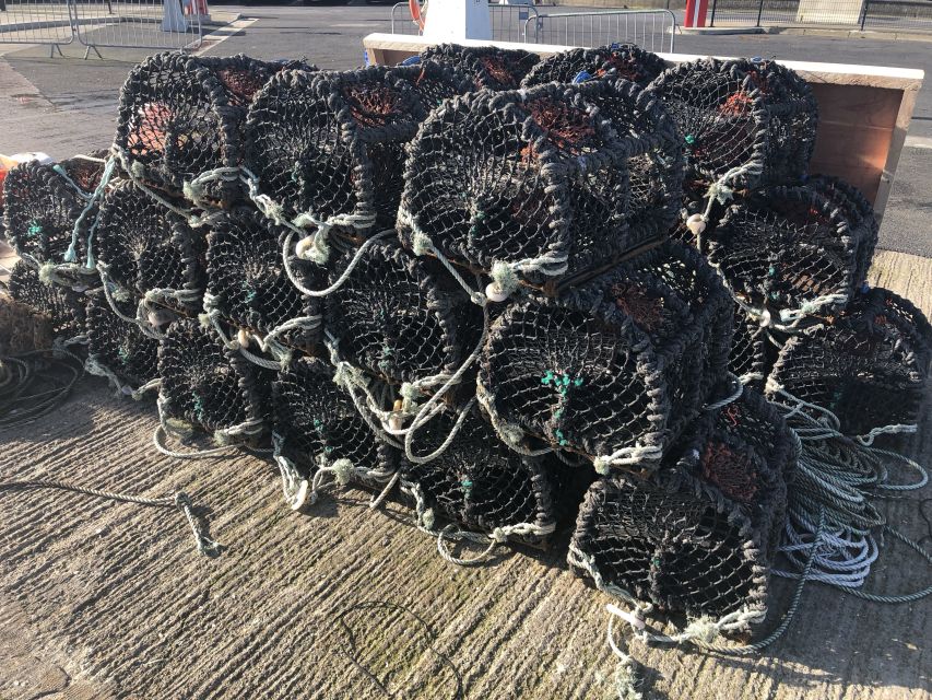 Dublin: Howth Coastal Craft Beer and Seafood Tour - Who will enjoy this most