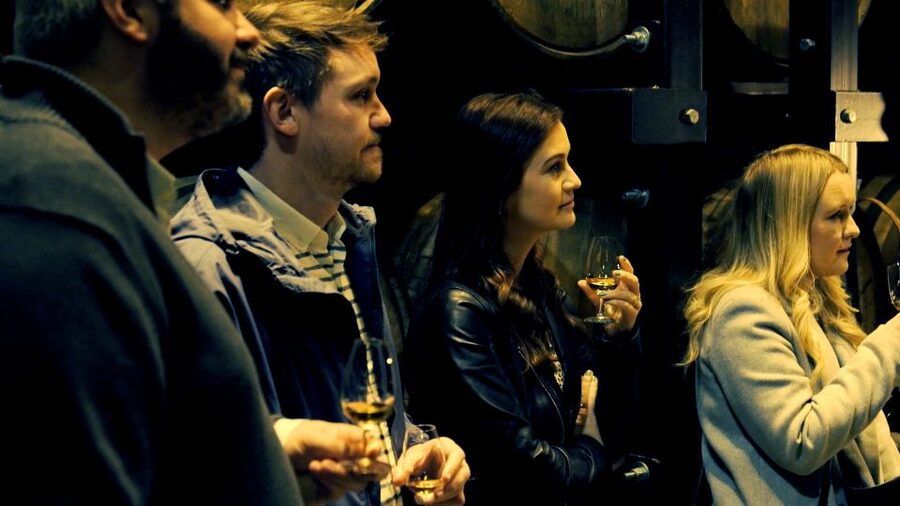 Dublin: Jameson and Guinness Private Tour with Transfers - What a private whiskey specialist adds