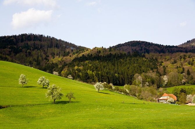 from Frankfurt - romantic Black Forest & brewery, private tour - At a glance