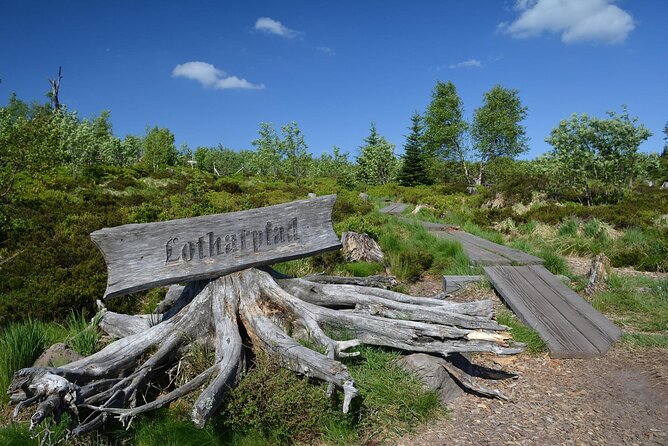 from Frankfurt - romantic Black Forest & brewery, private tour - Lotharpfad keeps the walking easy