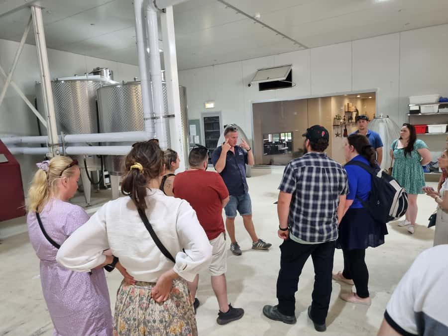 From Newcastle: Hunter Valley Beer & Wine Group Tour - The first vineyard visit gives the day some substance