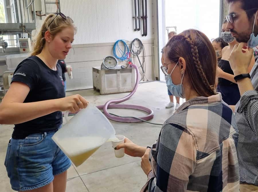 From Newcastle: Hunter Valley Beer & Wine Group Tour - Cheese and wine create the second formal tasting