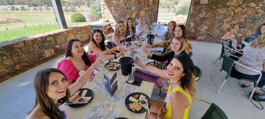 From Newcastle: Hunter Valley Beer & Wine Group Tour - Finish with wine and chocolate or a craft-beer paddle
