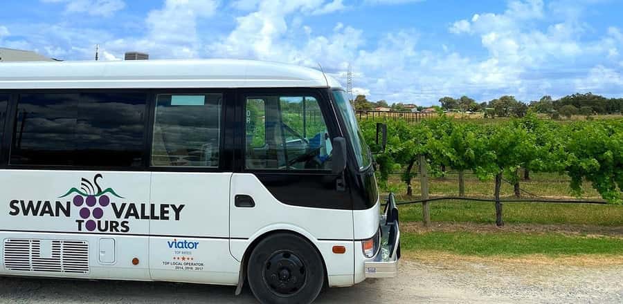 From Perth: Swan Valley Winery & Brewery Day Tour With Lunch - Four wineries, four chances to find a favorite