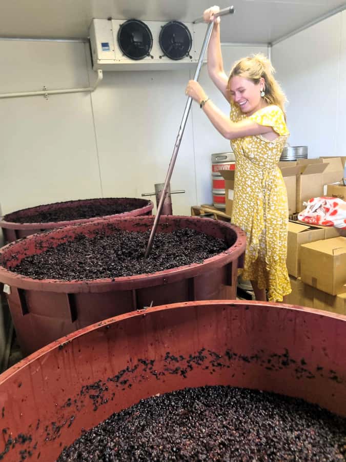 From Sydney: Hunter Valley Beer & Wine Group Tour - Why this Hunter Valley tour feels different