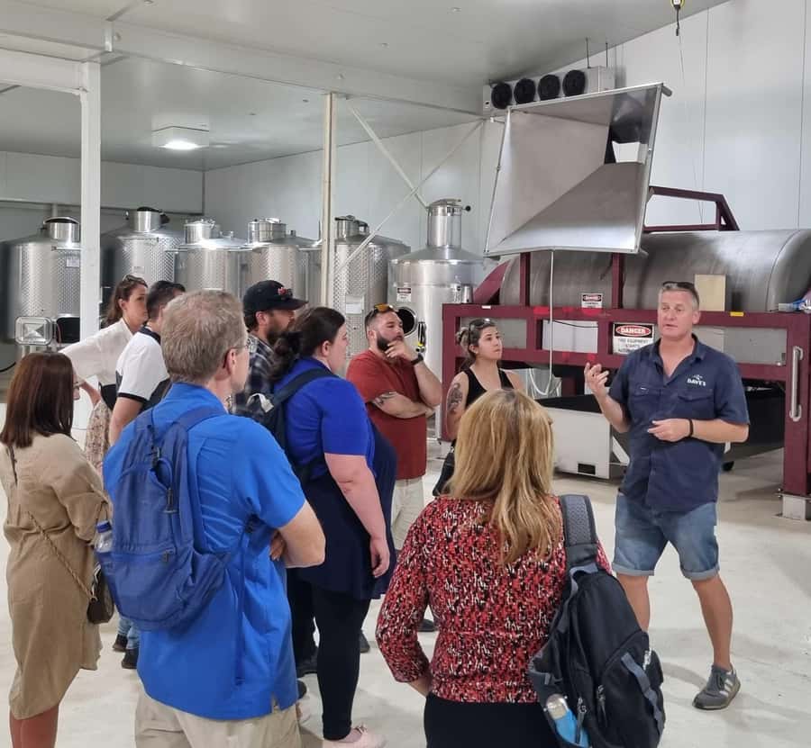 From Sydney: Hunter Valley Beer & Wine Group Tour - First vineyard visit and your first tasting