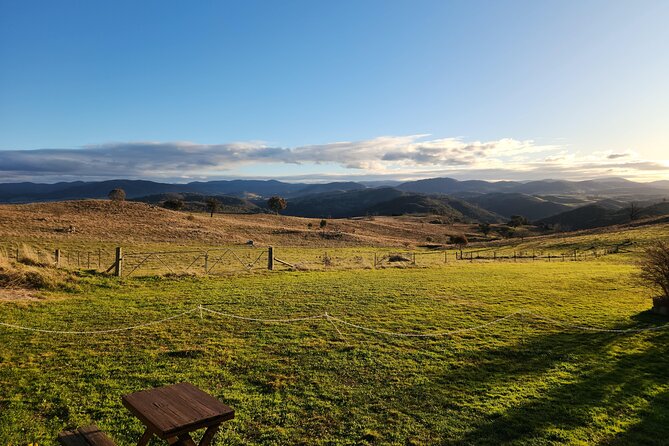 Full-Day Canberra Brewery, Wineries & Distillery tour /w lunch - Four Winds Vineyard is the lunch anchor