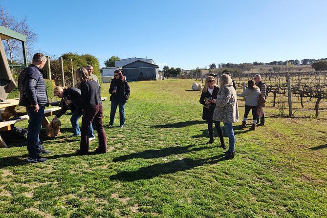 Full-Day Canberra Brewery, Wineries & Distillery tour /w lunch - Ambrosia Distillery changes the pace