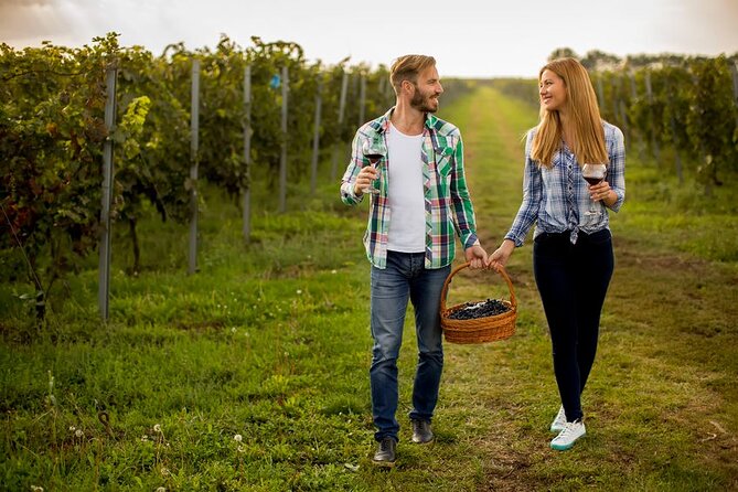 Full-Day Wine, Whiskey & Beer Tour w/ Lunch Pairing - Three wineries, each with a different angle
