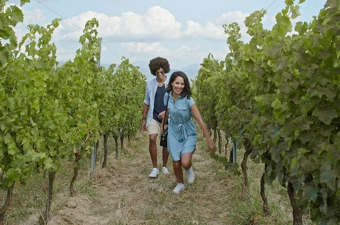 Full-Day Wine, Whiskey & Beer Tour w/ Lunch Pairing - Pickup makes the logistics much easier