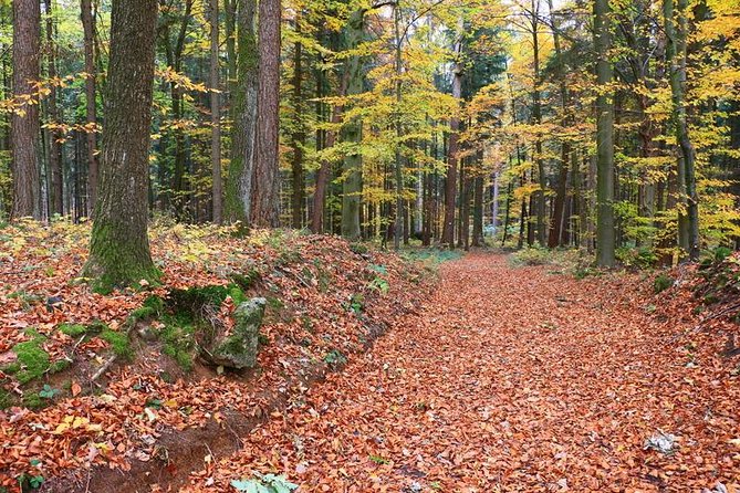 Fünf Seidla Steig ® Beer Hike Food Experience Private Tour (departs Nuremberg) - Thuisbrunn castle ruin and the first beer