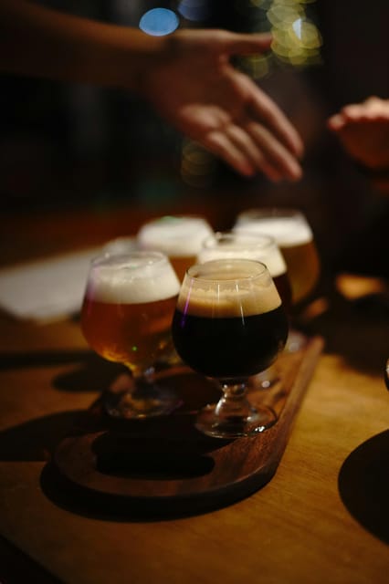 Gdańsk: Polish Craft Beer Tasting (6 Samples, 1.5 Hours) - Who should book this tasting?