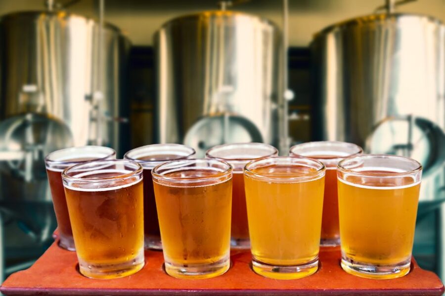 Gdansk Private Polish Beer Tasting Tour at Best Pubs & Bars - The four-hour option: a full beer and food evening