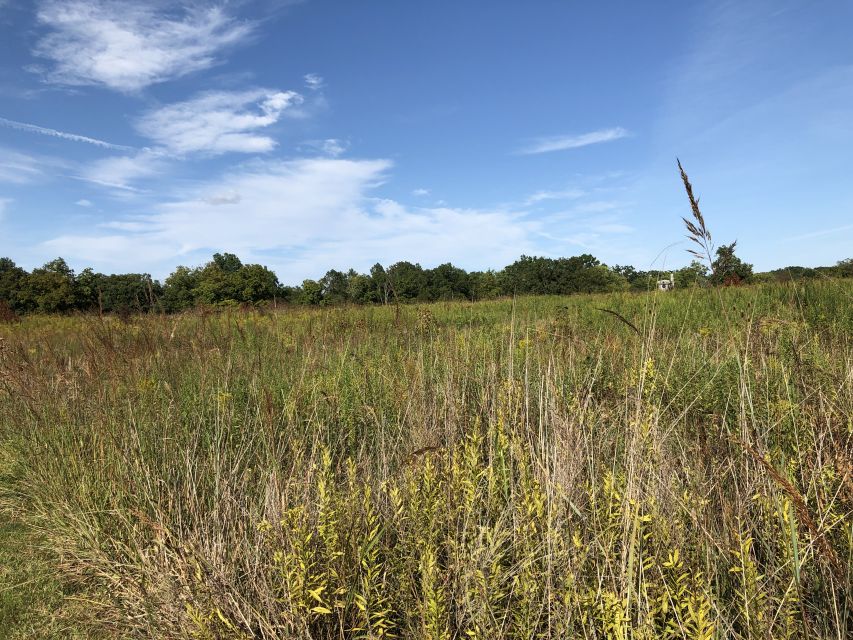 Gettysburg: Beer, Wine, and History Guided Walking Tour - Cider, wine, and more unusual pours