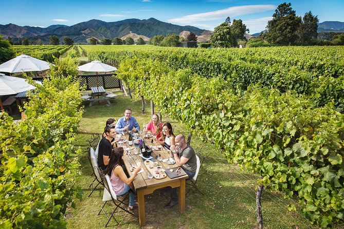Half-Day Marlborough Wine Tour & Beer Tour - Beer and chocolate can change the mix