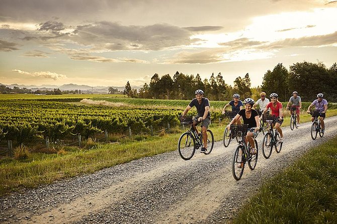 Half-Day Marlborough Wine Tour & Beer Tour - The guides shape the experience