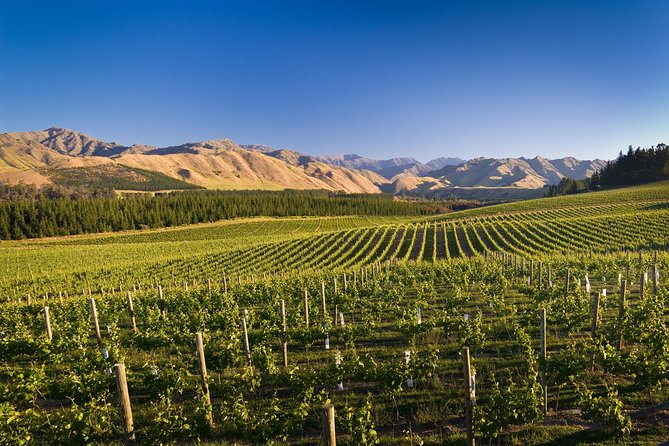 Half-Day Marlborough Wine Tour & Beer Tour - Is $129.70 good value?