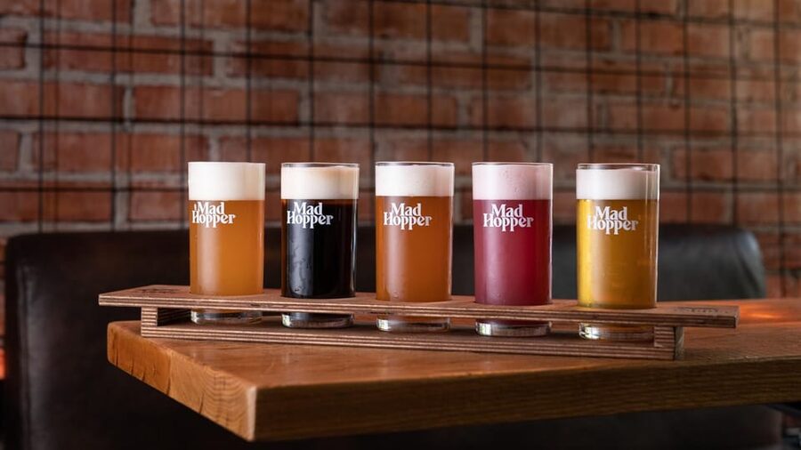Helsinki: Brewery Tour at Mad Hopper Brewing Company - The brewery tour: from dream to working operation
