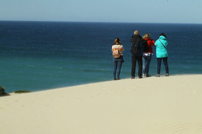 Hermanus Land based Whale Tour with Dave de Beer - Weather, cancellation, and practical planning
