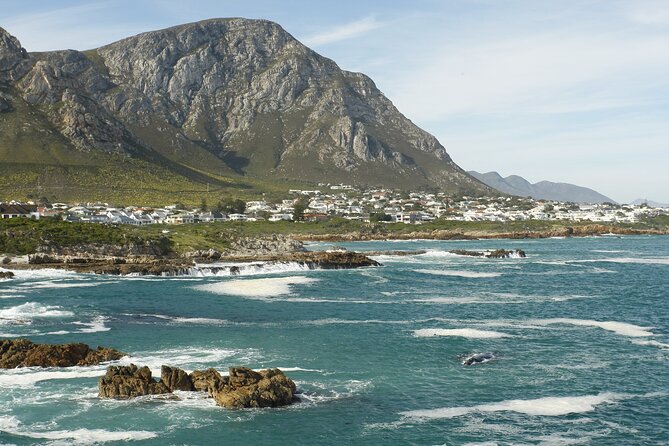 Hermanus Land based Whale Tour with Dave de Beer - Walking the two-hour Hermanus Cliff Path
