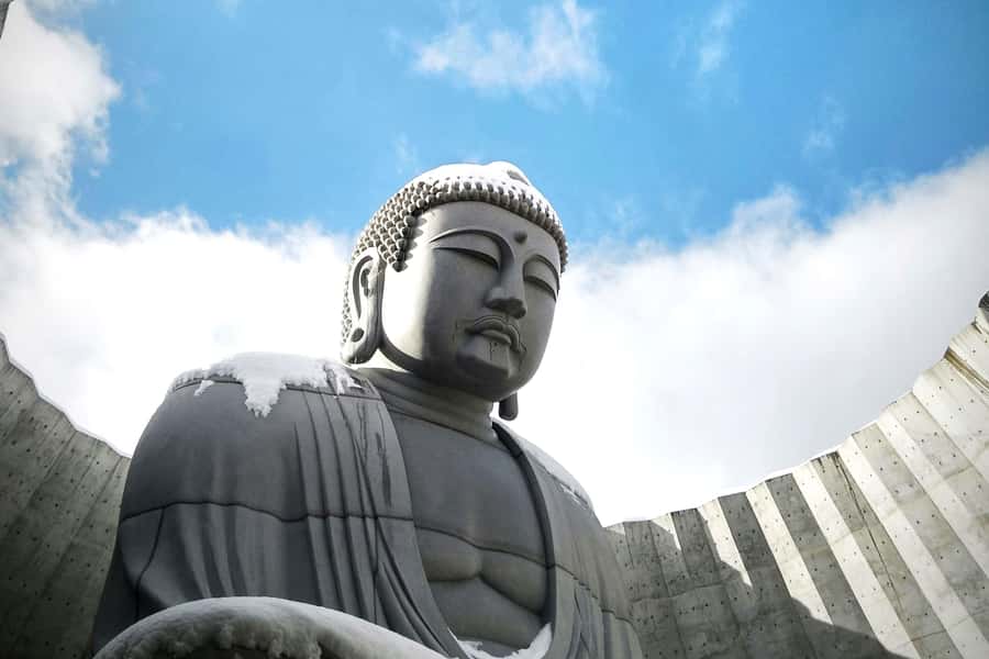 Hokkaido Sapporo :Hill of Buddha, Beer Museum & Fish Market - Why this Sapporo day tour works