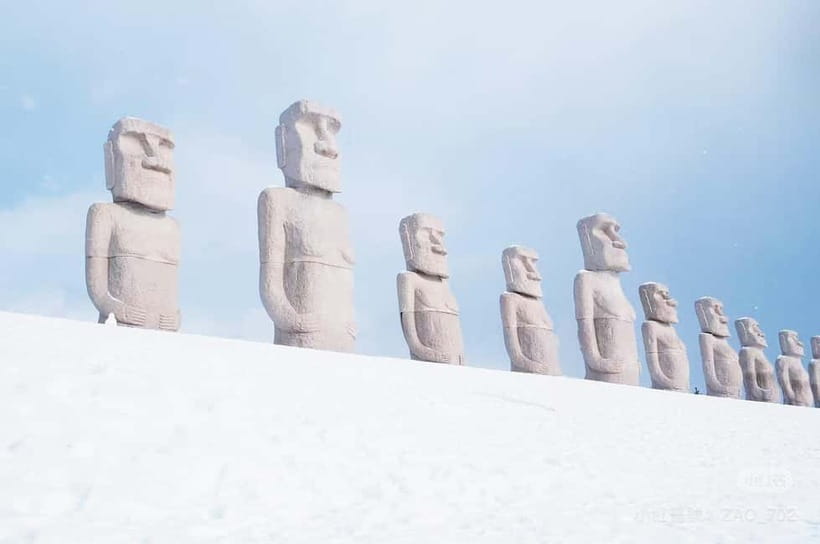 Hokkaido Sapporo :Hill of Buddha, Beer Museum & Fish Market - Guide style, group size, and what to expect on the bus