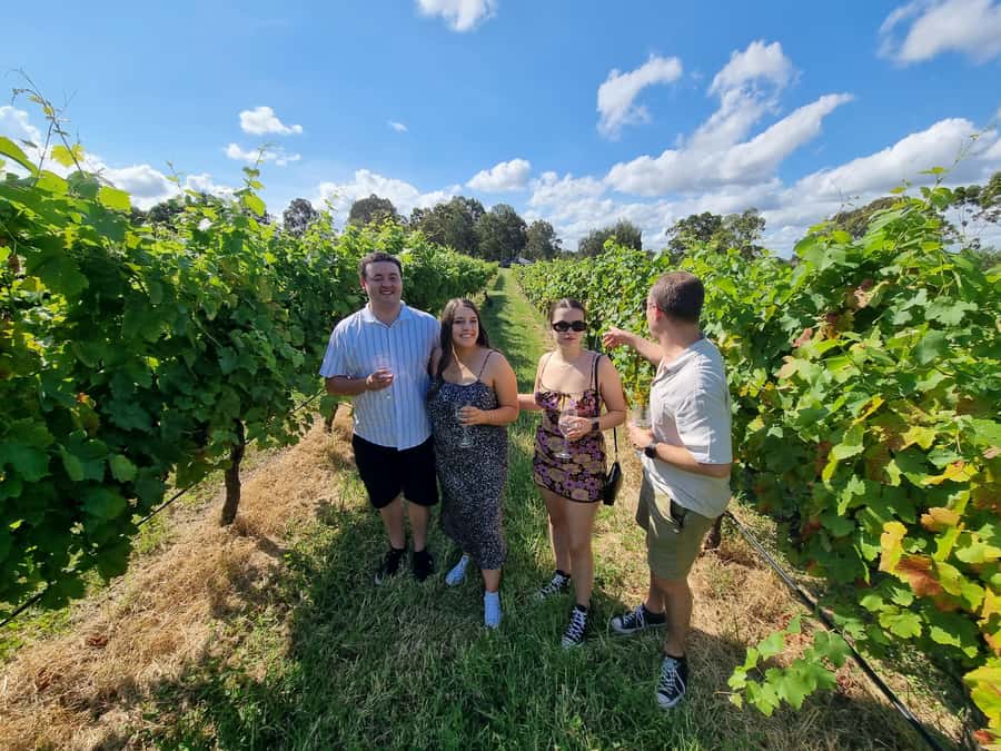 Hunter Valley: Beer & Wine Group Tour - Lunch at a winery, cafe, or shared table
