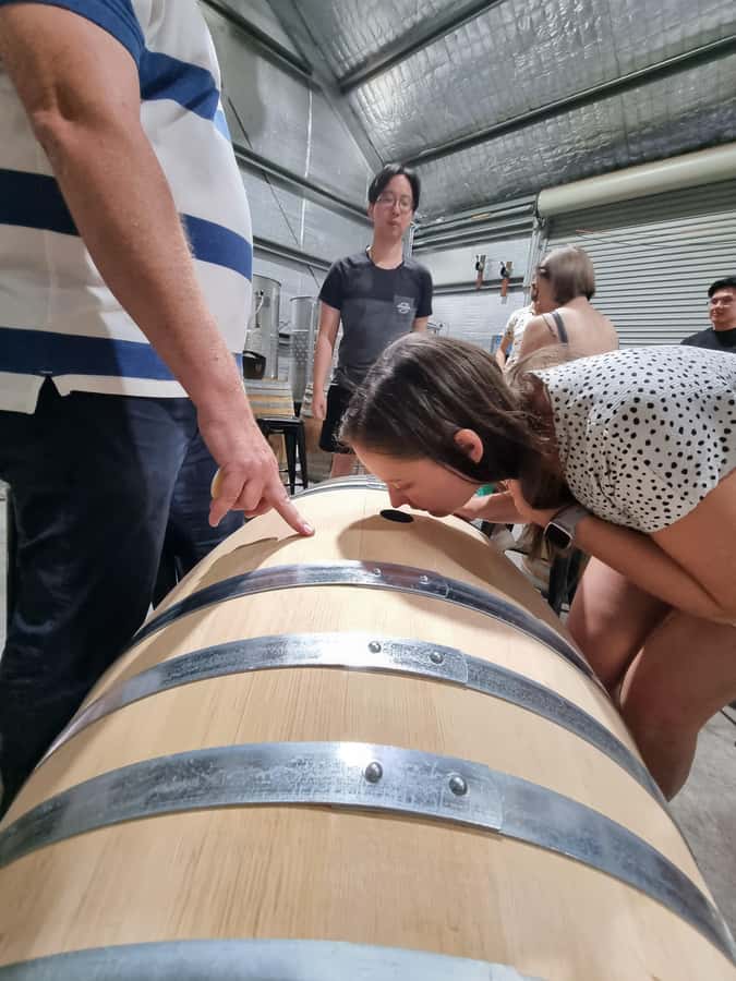 Hunter Valley: Beer & Wine Group Tour - Ending with craft beer or wine and chocolate