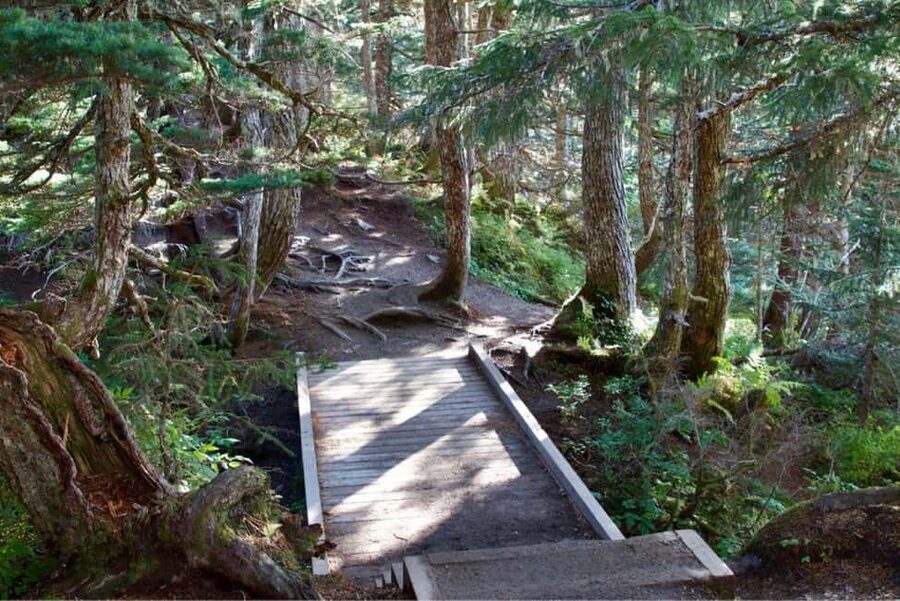 Juneau: Tram, Trails and Ale Tour - Key points to know before booking