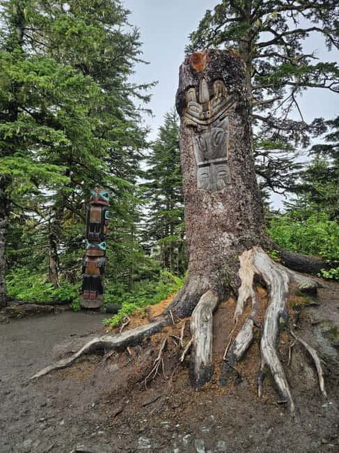 Juneau: Tram, Trails and Ale Tour - Two observation decks, two ways to read the mountain