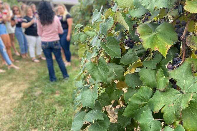 Kansas City Brewery, Winery, and Distillery Tour - Lifted Spirits and the distillery stop