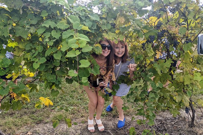 Kansas City Brewery, Winery, and Distillery Tour - Guides make or break the afternoon