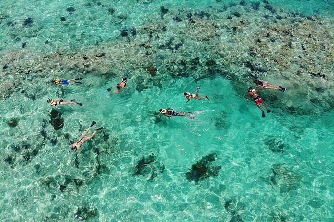Key West 2 Reef Snorkel Tour & Sunset Cruise with Beer & Wine - How the crew shapes the experience
