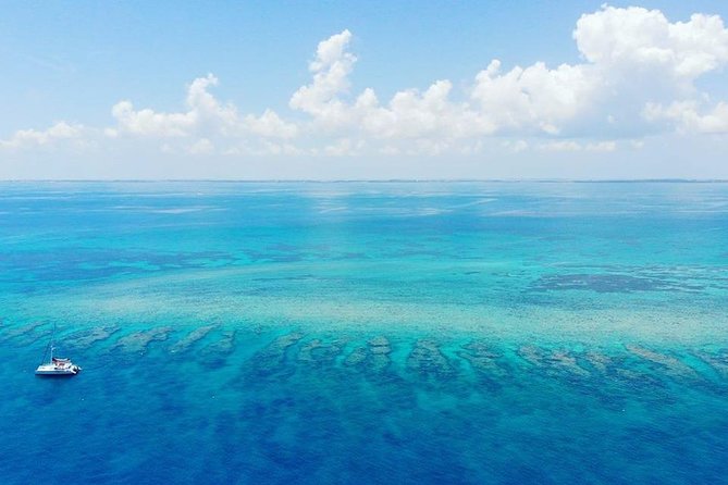 Key West 2 Reef Snorkel Tour & Sunset Cruise with Beer & Wine - Who will get the most from this three-hour trip