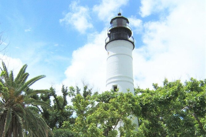 Key West: Dolphin Watching cruise & Snorkeling unlimited beer & soda - Key points to know before booking
