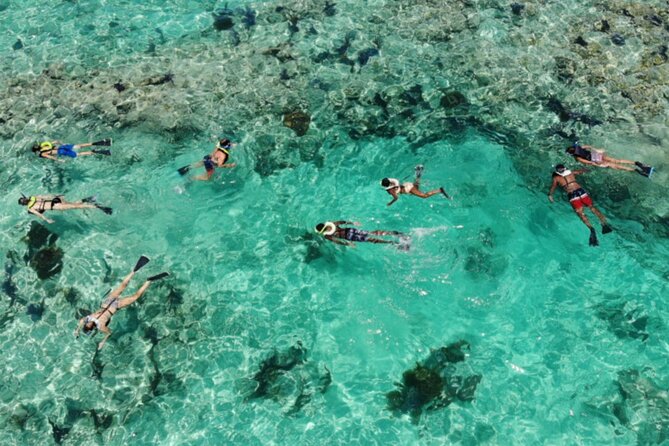Key West: Dolphin Watching cruise & Snorkeling unlimited beer & soda - The ride back through Key West Harbor