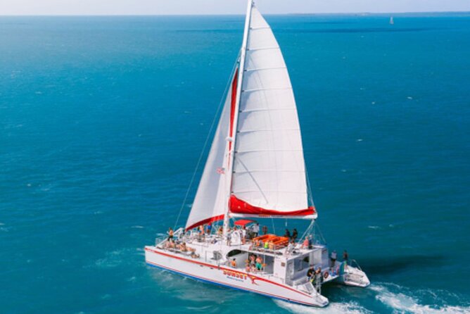 Key West: Dolphin Watching cruise & Snorkeling unlimited beer & soda - Who will enjoy this cruise most