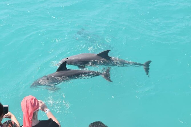 Key West: Dolphin Watching cruise & Snorkeling unlimited beer & soda - The 55-foot yacht and the feel of the ride